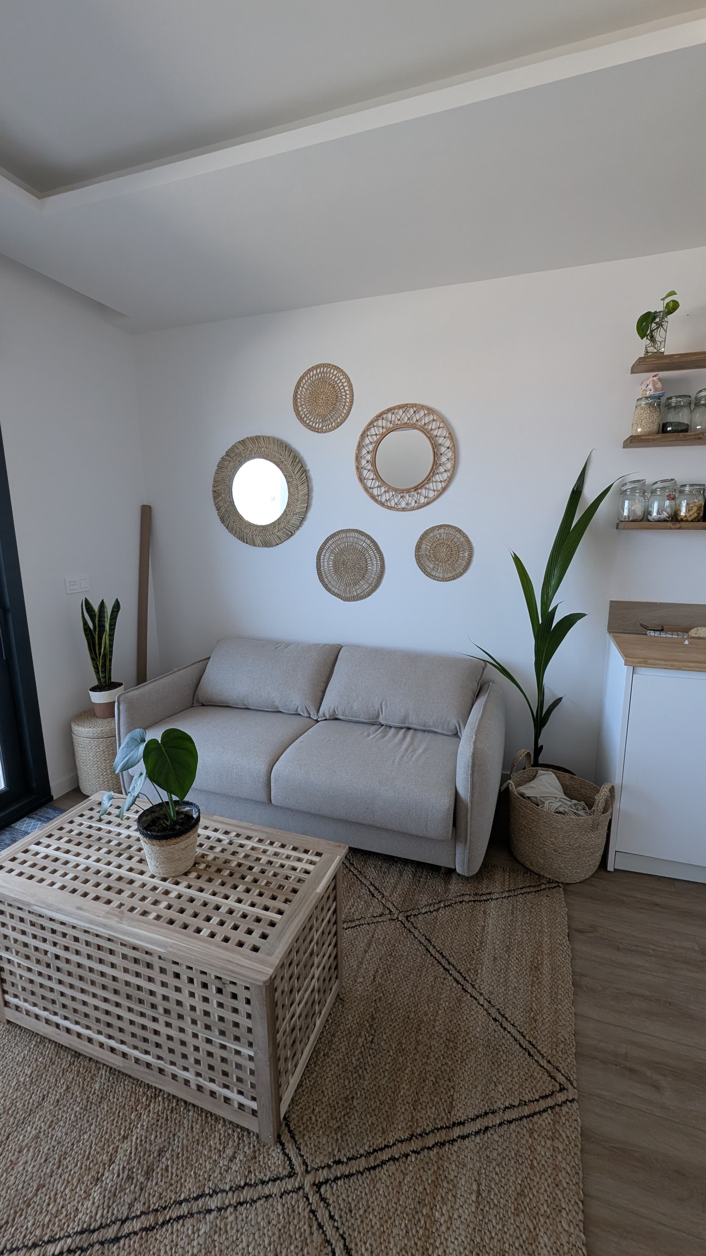 Living room with rattan mirrors wall and plants